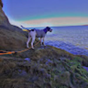 Meet your Posher, Austin